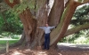 Me by huge tree at Compton Verney